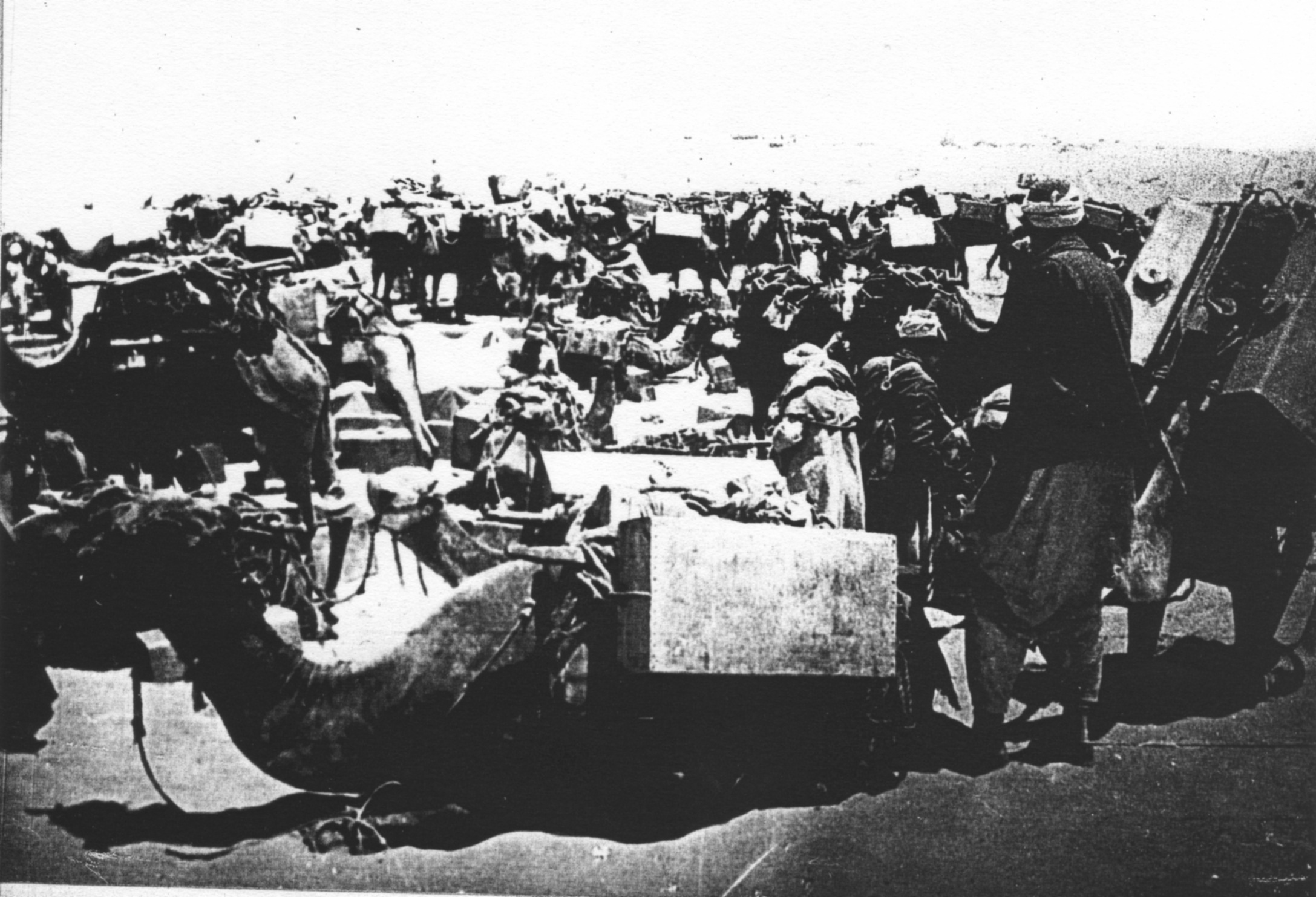 IWMQ15857 Camel Transport carrying 12 gallon water tanks